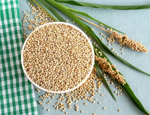 Sorghum (Jowar) – (دُخن / سورغوم)